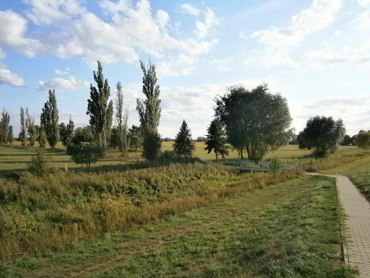 Wohnen Im Ehemaligen Kaminstudio Mit Klimaanlage Apartment Wittenberg Екстериор снимка